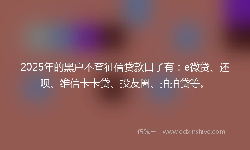 2025年的黑户不查征信贷款口子有：e微贷、还呗、维信卡卡贷、投友圈、拍拍贷等。