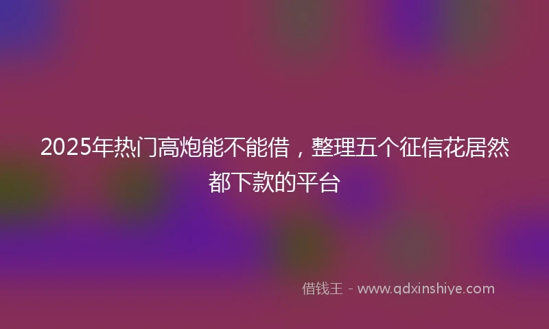 2025年热门高炮能不能借，整理五个征信花居然都下款的平台