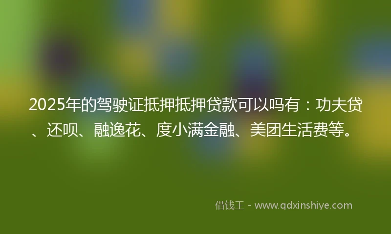 2025年的驾驶证抵押抵押贷款可以吗有:功夫贷、还呗、融逸花、度小满金融、美团生活费等。