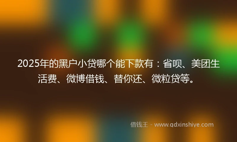 2025年的黑户小贷哪个能下款有：省呗、美团生活费、微博借钱、替你还、微粒贷等。