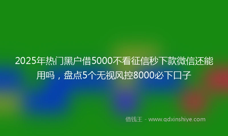 2025年热门黑户借5000不看征信秒下款微信还能用吗，盘点5个无视风控8000必下口子