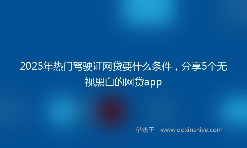 2025年热门驾驶证网贷要什么条件，分享5个无视黑白的网贷app