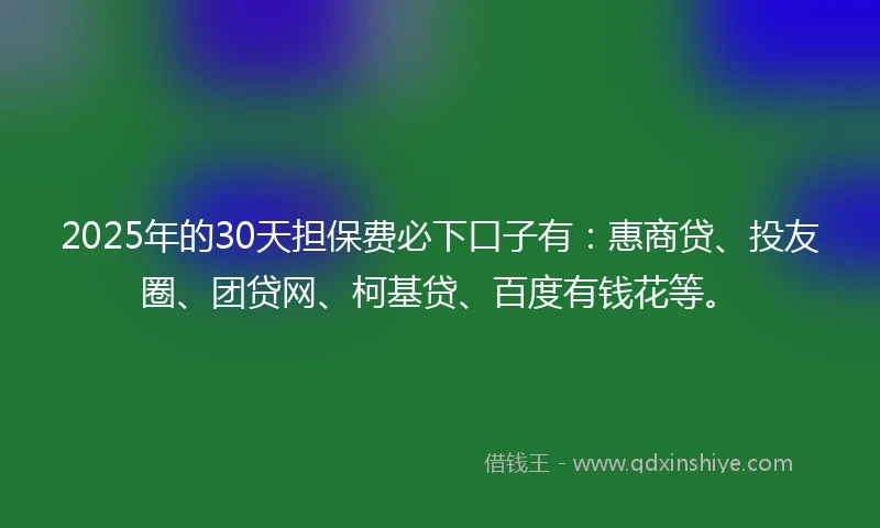 2025年的30天担保费必下口子有：惠商贷、投友圈、团贷网、柯基贷、百度有钱花等。
