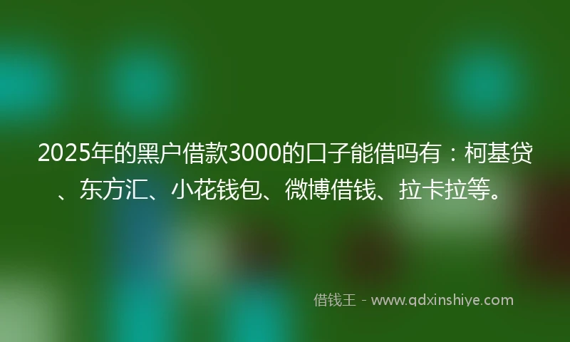 2025年的黑户借款3000的口子能借吗有：柯基贷、东方汇、小花钱包、微博借钱、拉卡拉等。
