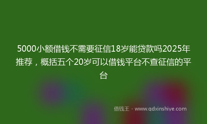 5000小额借钱不需要征信18岁能贷款吗2025年推荐，概括五个20岁可以借钱平台不查征信的平台