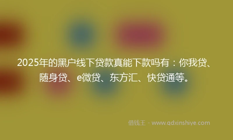 2025年的黑户线下贷款真能下款吗有：你我贷、随身贷、e微贷、东方汇、快贷通等。