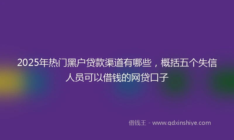2025年热门黑户贷款渠道有哪些，概括五个失信人员可以借钱的网贷口子