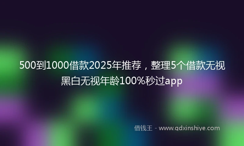 500到1000借款2025年推荐，整理5个借款无视黑白无视年龄100%秒过app