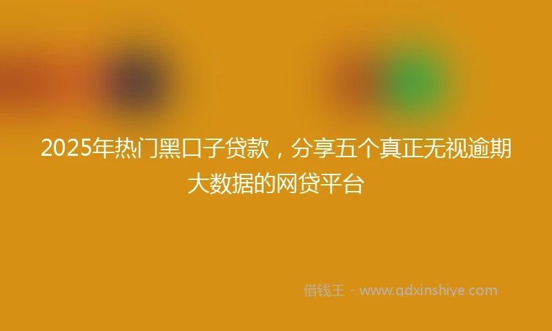 2025年热门黑口子贷款，分享五个真正无视逾期大数据的网贷平台