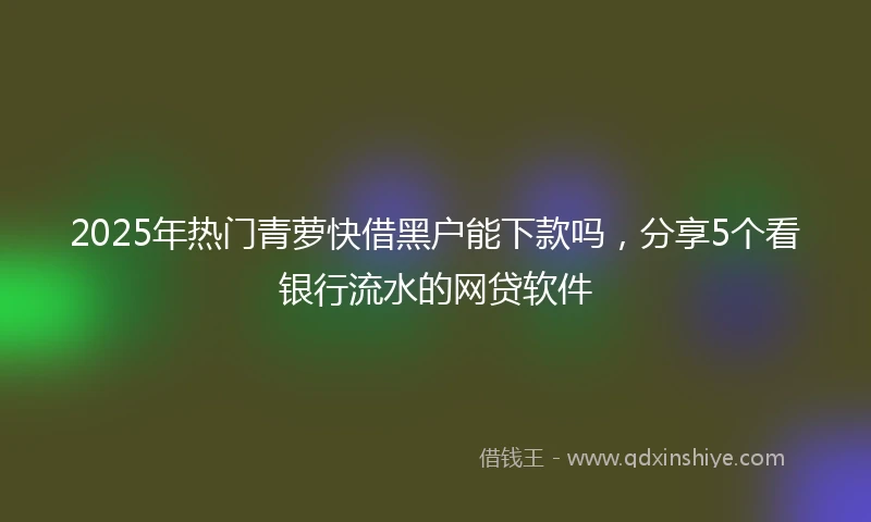 2025年热门青萝快借黑户能下款吗，分享5个看银行流水的网贷软件