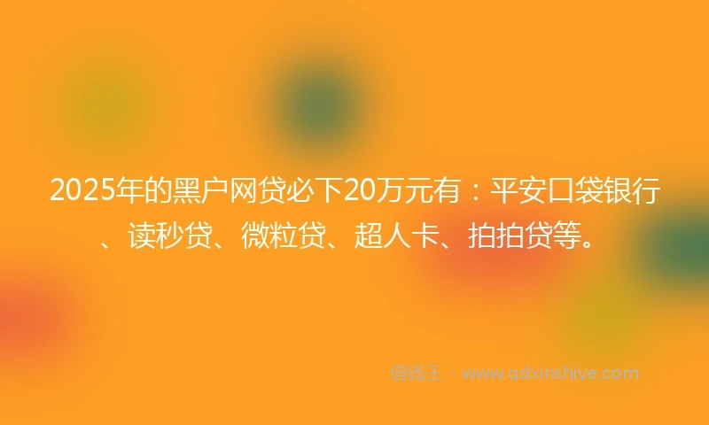 2025年的黑户网贷必下20万元有：平安口袋银行、读秒贷、微粒贷、超人卡、拍拍贷等。