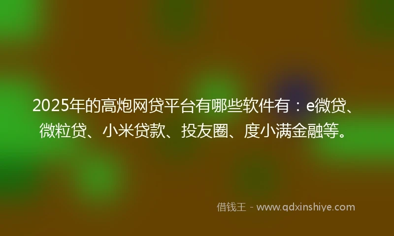 2025年的高炮网贷平台有哪些软件有：e微贷、微粒贷、小米贷款、投友圈、度小满金融等。