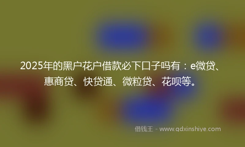 2025年的黑户花户借款必下口子吗有：e微贷、惠商贷、快贷通、微粒贷、花呗等。