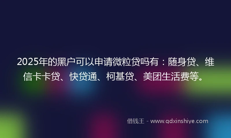 2025年的黑户可以申请微粒贷吗有：随身贷、维信卡卡贷、快贷通、柯基贷、美团生活费等。