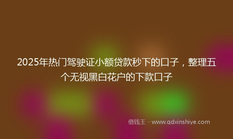 2025年热门驾驶证小额贷款秒下的口子，整理五个无视黑白花户的下款口子