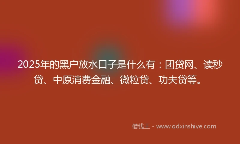2025年的黑户放水口子是什么有：团贷网、读秒贷、中原消费金融、微粒贷、功夫贷等。