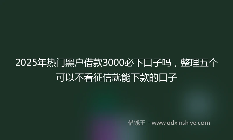 2025年热门黑户借款3000必下口子吗，整理五个可以不看征信就能下款的口子