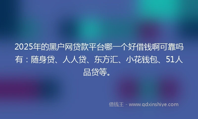 2025年的黑户网贷款平台哪一个好借钱啊可靠吗有：随身贷、人人贷、东方汇、小花钱包、51人品贷等。