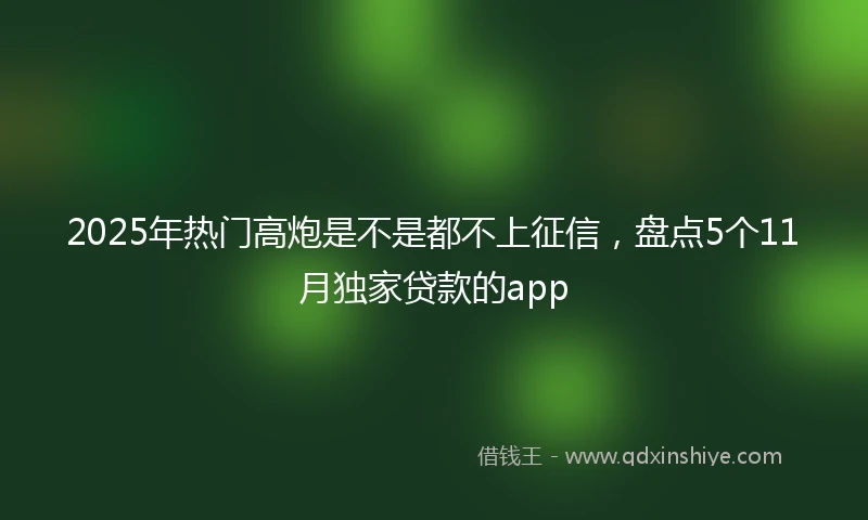 2025年热门高炮是不是都不上征信，盘点5个11月独家贷款的app