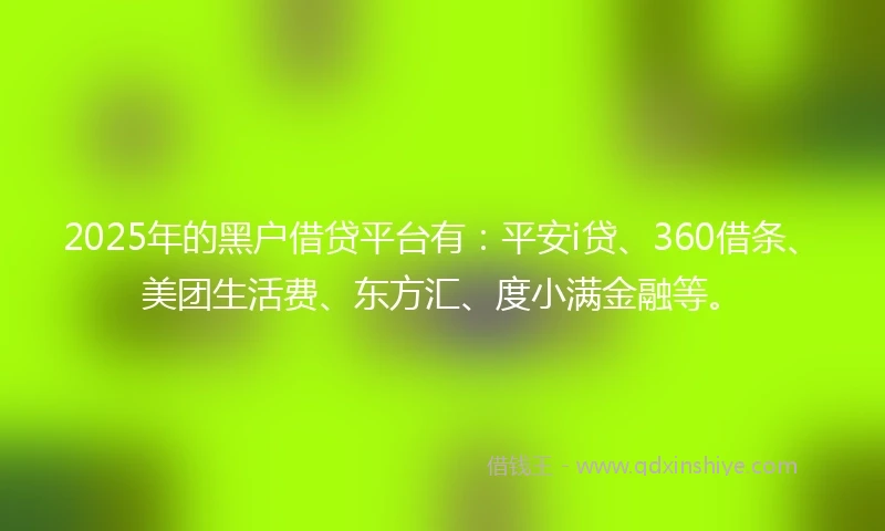 2025年的黑户借贷平台有：平安i贷、360借条、美团生活费、东方汇、度小满金融等。