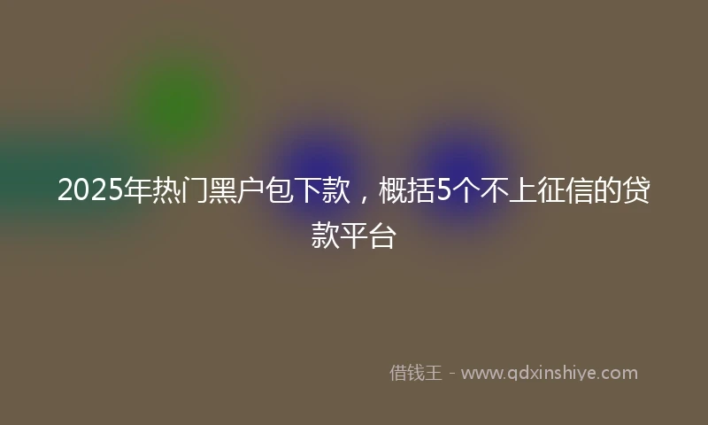 2025年热门黑户包下款，概括5个不上征信的贷款平台