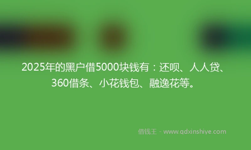 2025年的黑户借5000块钱有：还呗、人人贷、360借条、小花钱包、融逸花等。