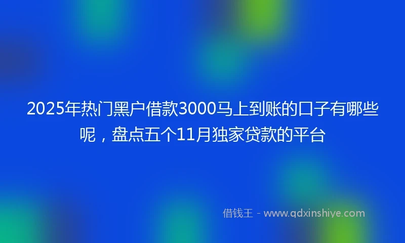 2025年热门黑户借款3000马上到账的口子有哪些呢，盘点五个11月独家贷款的平台