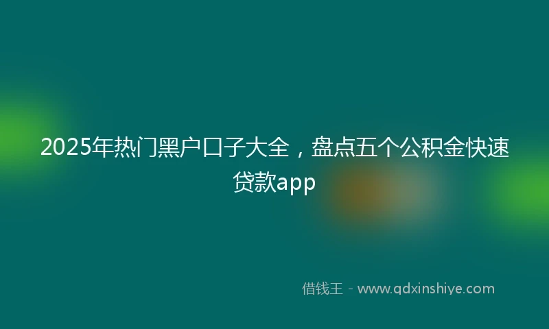 2025年热门黑户口子大全，盘点五个公积金快速贷款app