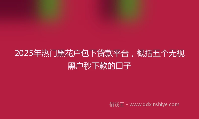2025年热门黑花户包下贷款平台，概括五个无视黑户秒下款的口子