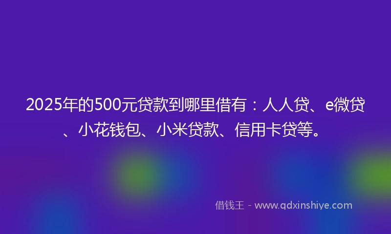 2025年的500元贷款到哪里借有：人人贷、e微贷、小花钱包、小米贷款、信用卡贷等。