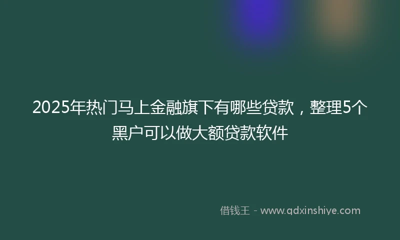 2025年热门马上金融旗下有哪些贷款，整理5个黑户可以做大额贷款软件