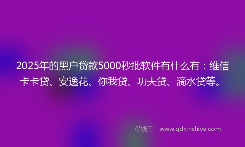 2025年的黑户贷款5000秒批软件有什么有：维信卡卡贷、安逸花、你我贷、功夫贷、滴水贷等。