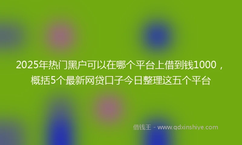 2025年热门黑户可以在哪个平台上借到钱1000，概括5个最新网贷口子今日整理这五个平台
