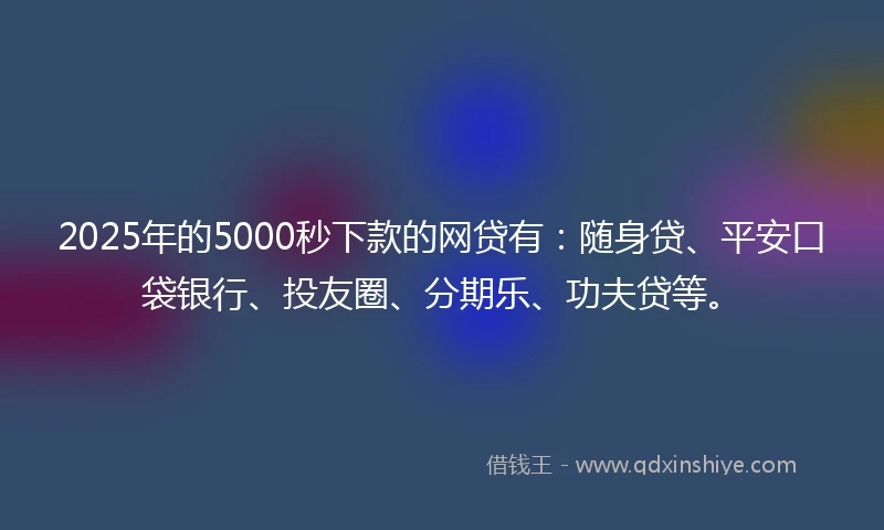 2025年的5000秒下款的网贷有：随身贷、平安口袋银行、投友圈、分期乐、功夫贷等。