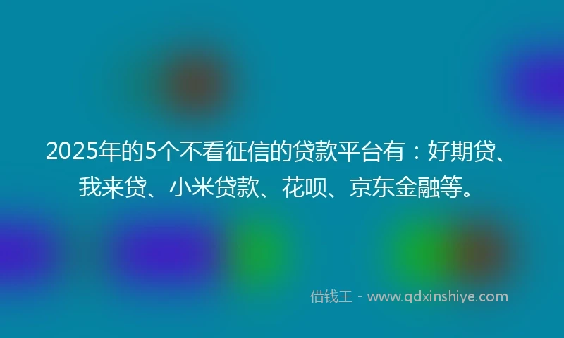 2025年的5个不看征信的贷款平台有：好期贷、我来贷、小米贷款、花呗、京东金融等。
