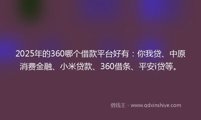 2025年的360哪个借款平台好有：你我贷、中原消费金融、小米贷款、360借条、平安i贷等。