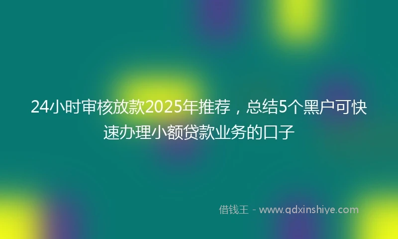 24小时审核放款2025年推荐，总结5个黑户可快速办理小额贷款业务的口子