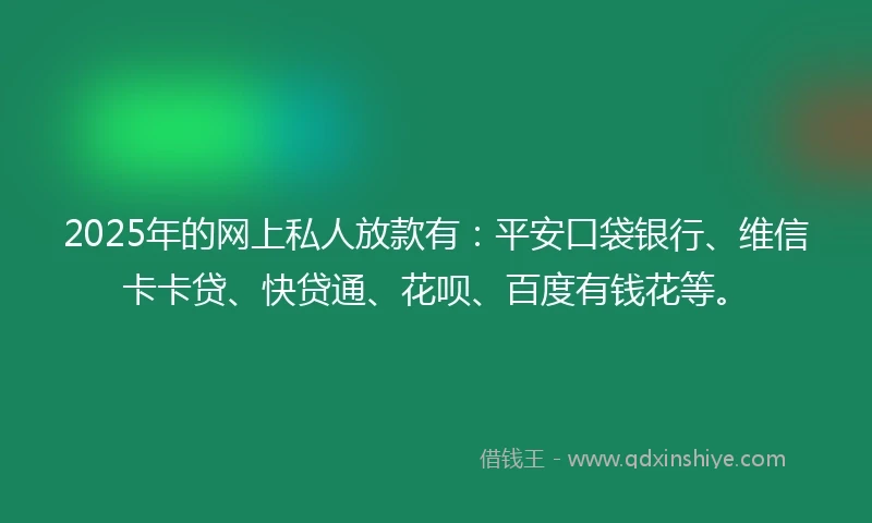 2025年的网上私人放款有：平安口袋银行、维信卡卡贷、快贷通、花呗、百度有钱花等。