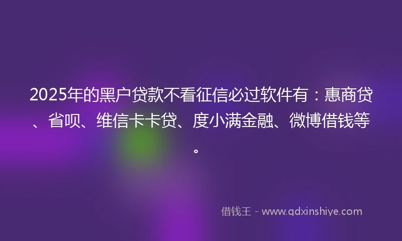 2025年的黑户贷款不看征信必过软件有：惠商贷、省呗、维信卡卡贷、度小满金融、微博借钱等。