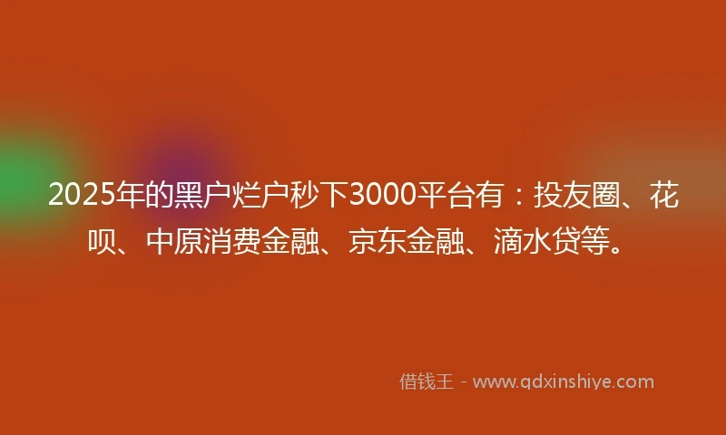 2025年的黑户烂户秒下3000平台有：投友圈、花呗、中原消费金融、京东金融、滴水贷等。