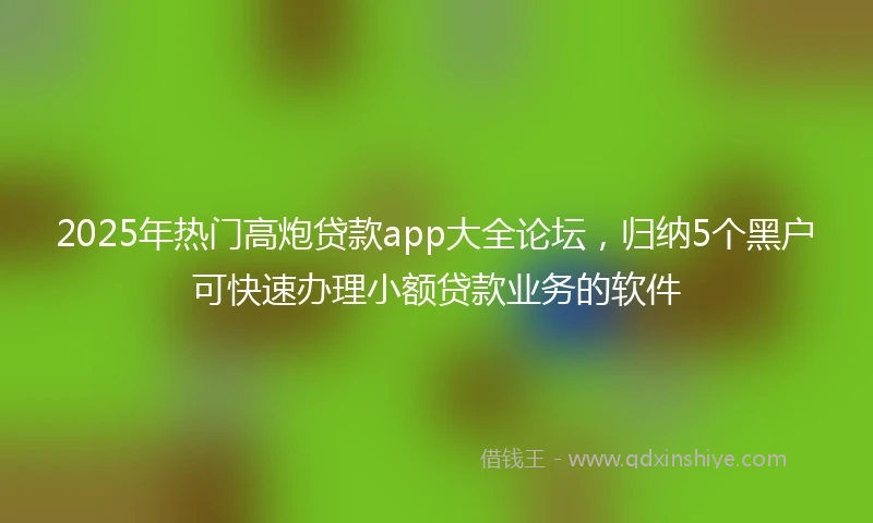 2025年热门高炮贷款app大全论坛，归纳5个黑户可快速办理小额贷款业务的软件