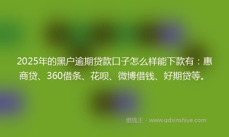 2025年的黑户逾期贷款口子怎么样能下款有：惠商贷、360借条、花呗、微博借钱、好期贷等。
