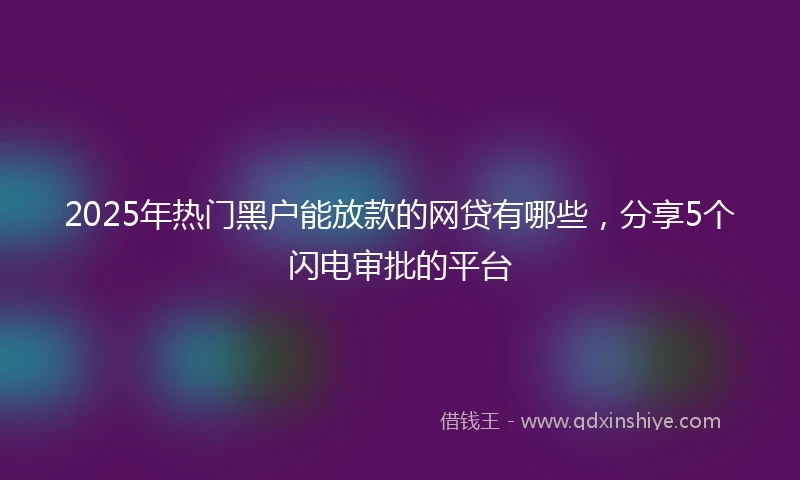 2025年热门黑户能放款的网贷有哪些，分享5个闪电审批的平台
