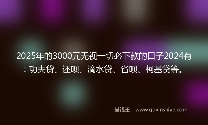 2025年的3000元无视一切必下款的口子2024有：功夫贷、还呗、滴水贷、省呗、柯基贷等。