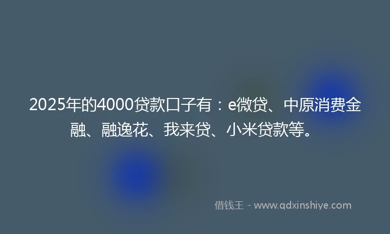 2025年的4000贷款口子有：e微贷、中原消费金融、融逸花、我来贷、小米贷款等。