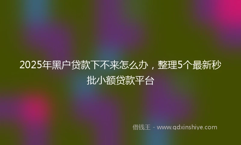 2025年黑户贷款下不来怎么办，整理5个最新秒批小额贷款平台