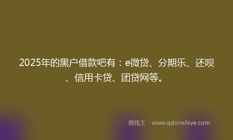 2025年的黑户借款吧有：e微贷、分期乐、还呗、信用卡贷、团贷网等。