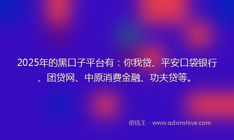2025年的黑口子平台有：你我贷、平安口袋银行、团贷网、中原消费金融、功夫贷等。