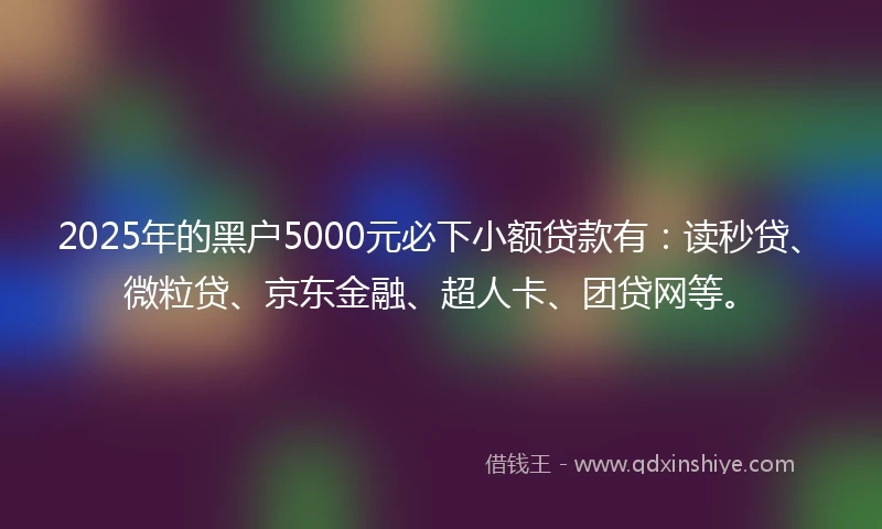 2025年的黑户5000元必下小额贷款有：读秒贷、微粒贷、京东金融、超人卡、团贷网等。