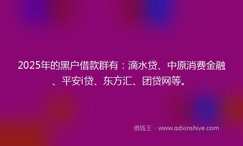 2025年的黑户借款群有：滴水贷、中原消费金融、平安i贷、东方汇、团贷网等。
